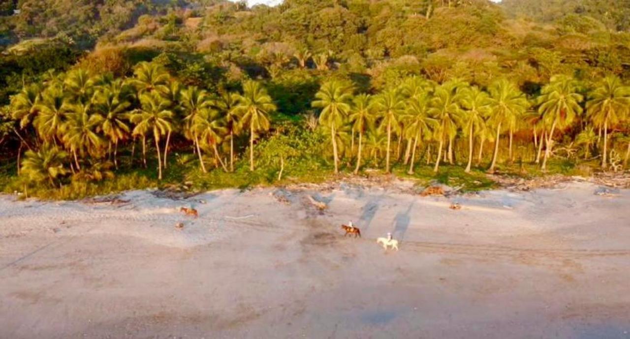 Shark Town Mal Pais Apartment Playa Santa Teresa  Exterior photo